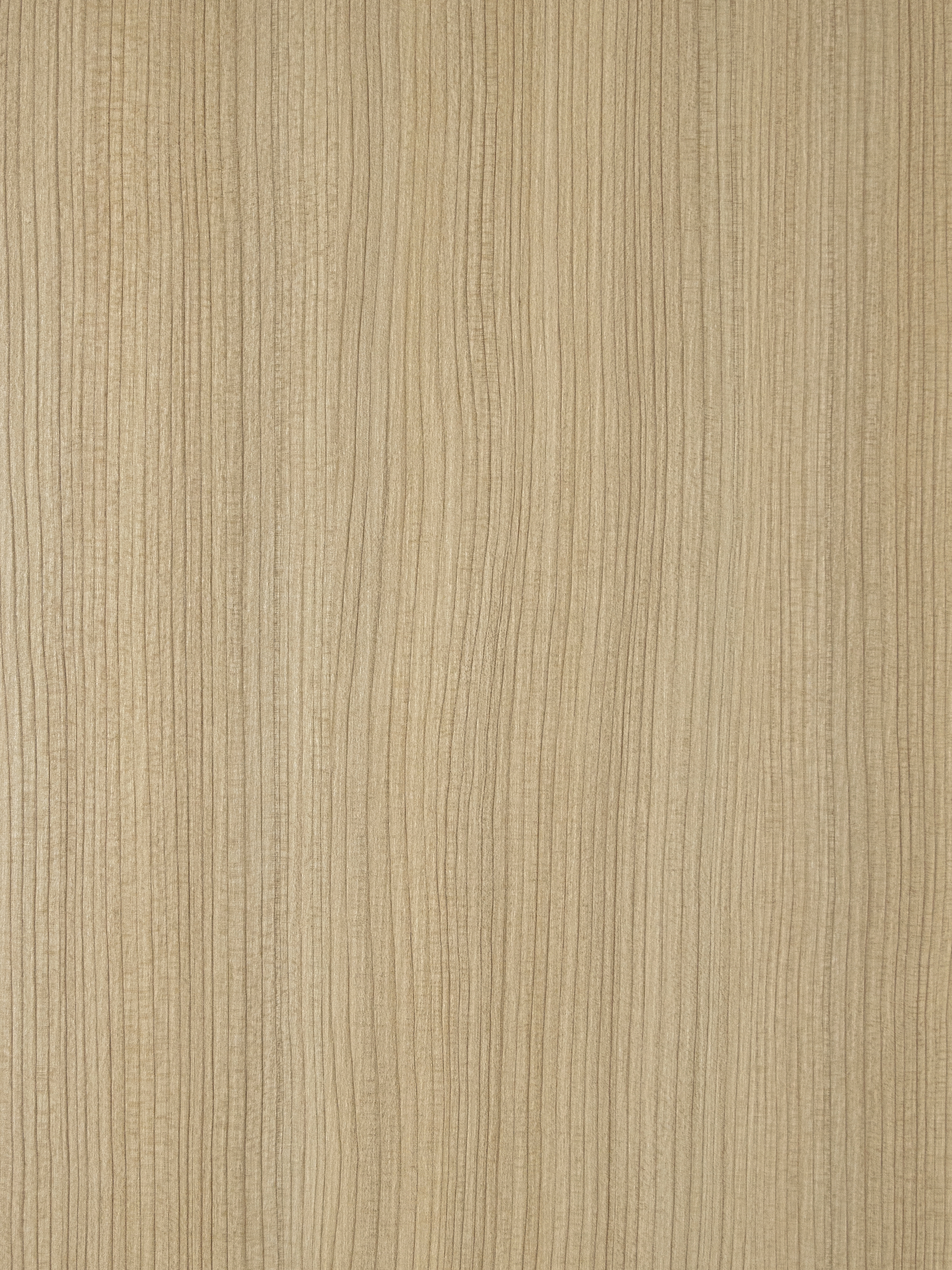 Ceppo LT04