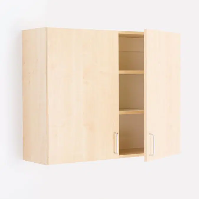 Wall Mounted Cabinet Theo