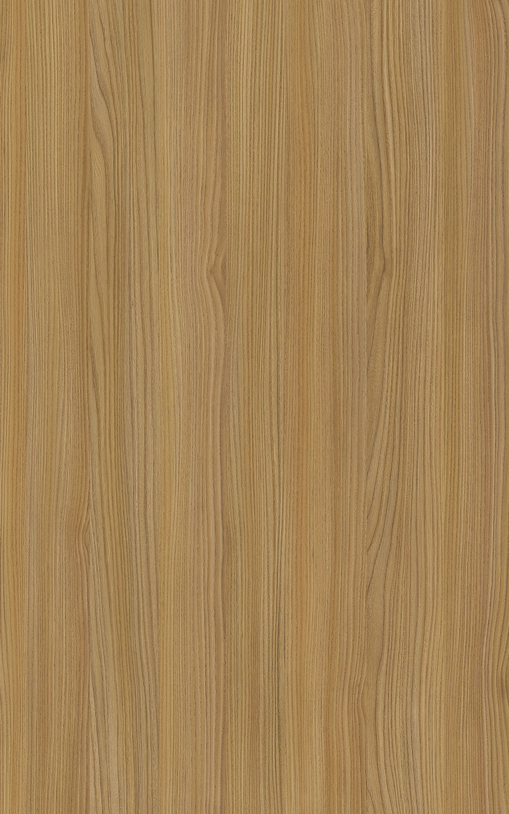 Verona Elm 3306   Laminate