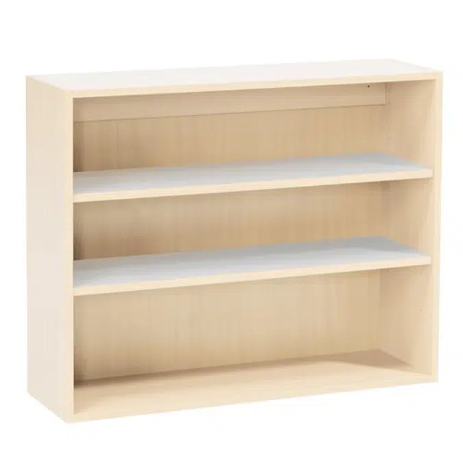 Theo Modern Bookcase
