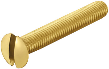 Threaded screw, M5, flat blade, raised head - 909.91.011