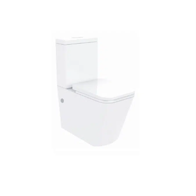 VOLGA Two Piece Toilet