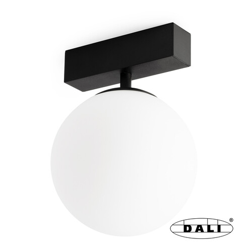 NESO Black UNIK 2700K DALI