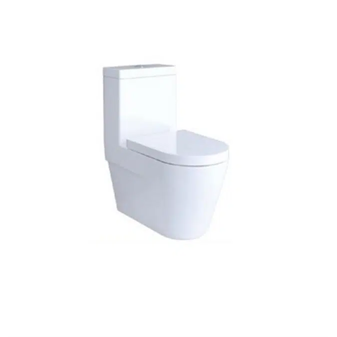 RINA Modern One Piece Toilet