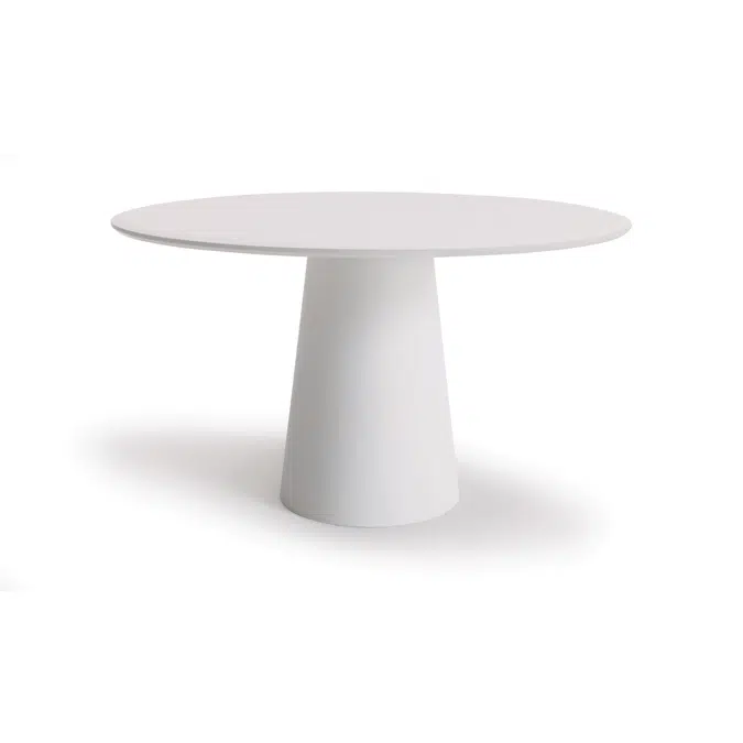 CONIC Round Table