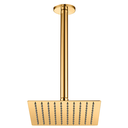 GPD Concealed Shower Head (Ceiling_200X200) - ADS1