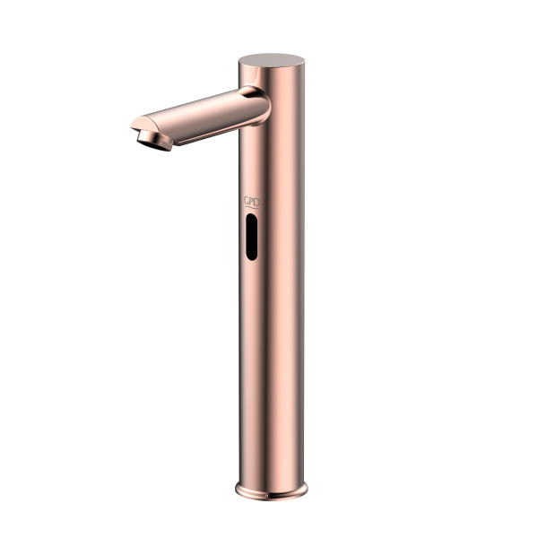 Touchless Sink Faucet (Dual Water Inlet) FLB07-R