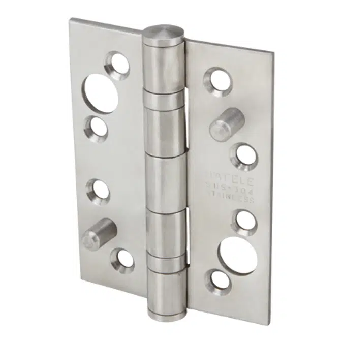 Güvenlikli Paslanmaz Çelik Yaprak Menteşe