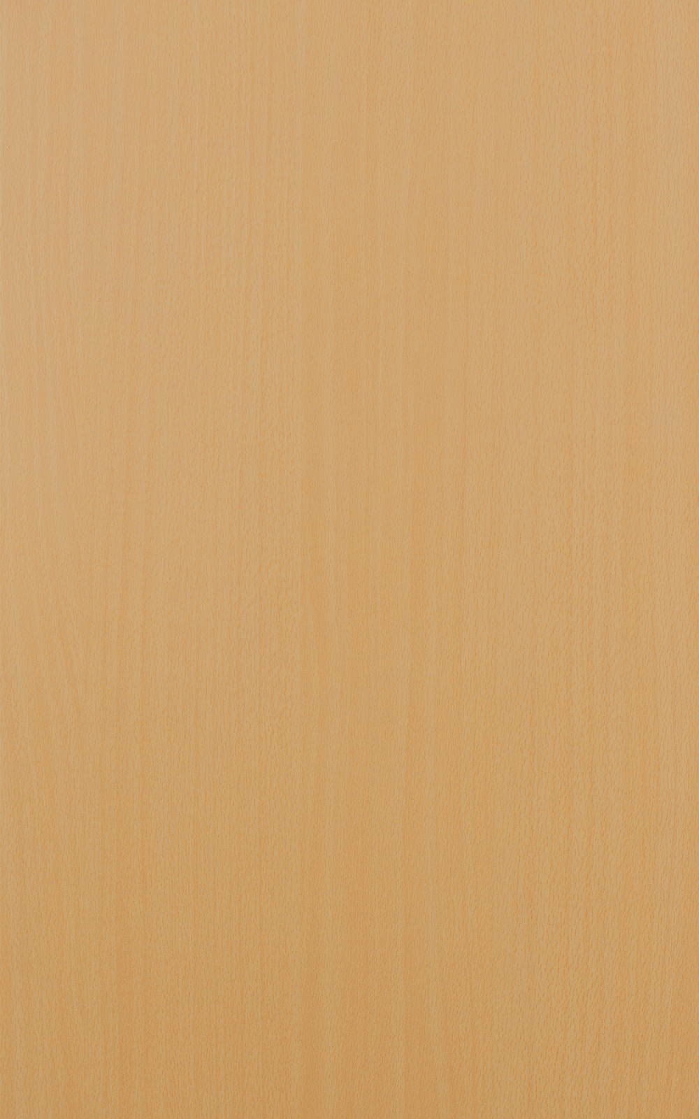 Deer Lake Beech  -  3134 Laminat