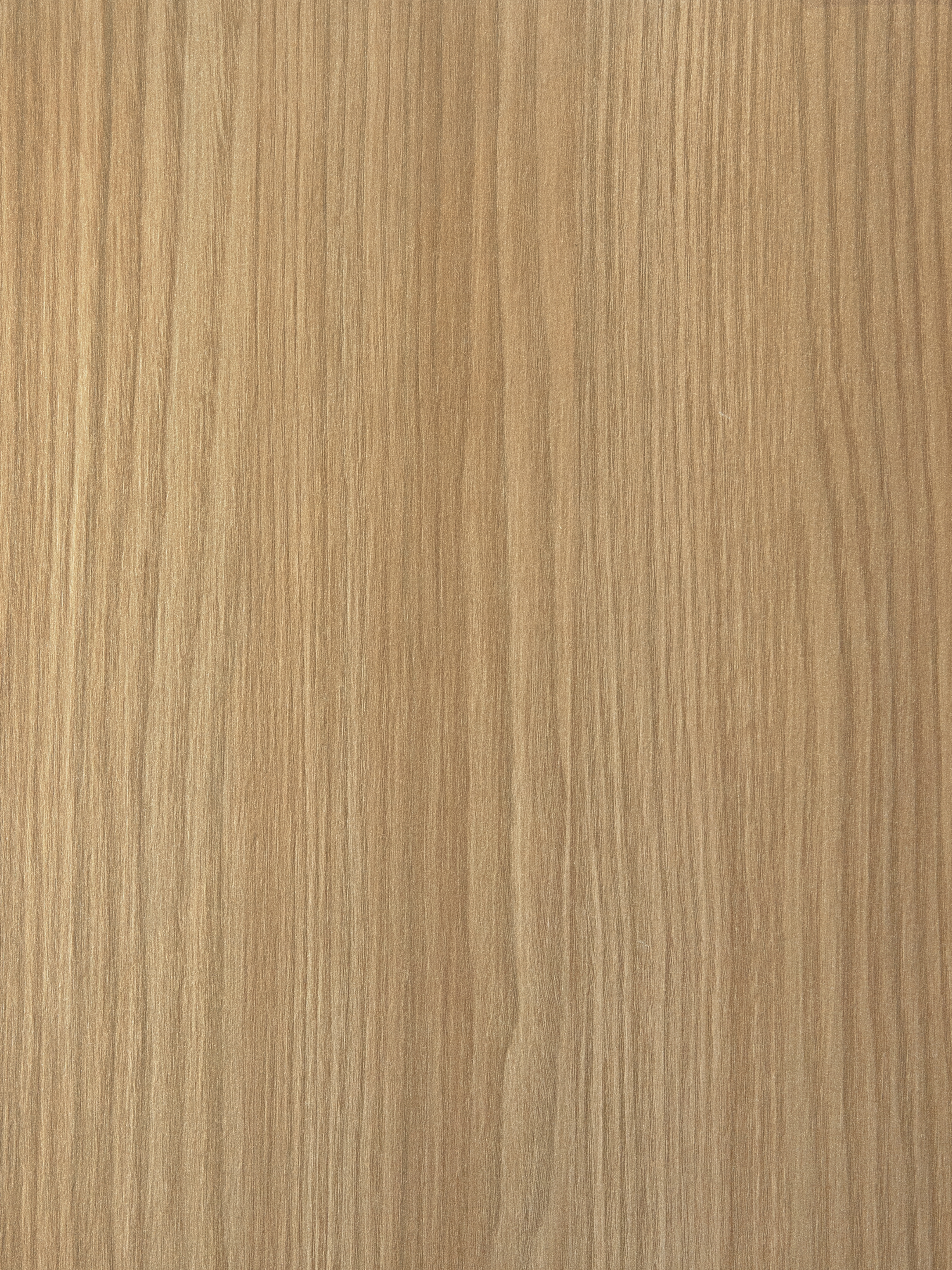 Ceppo LS94