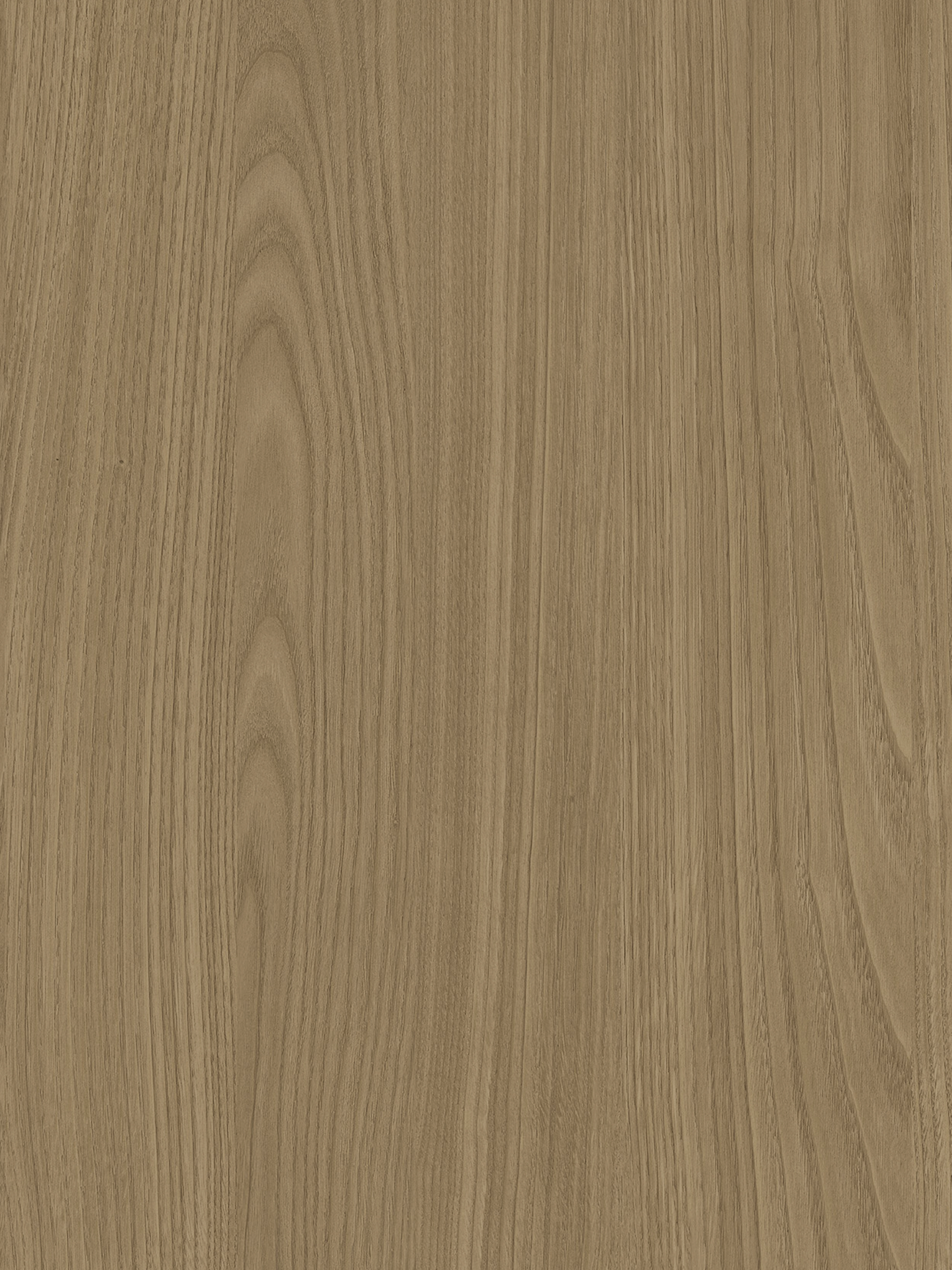 Quercia S174