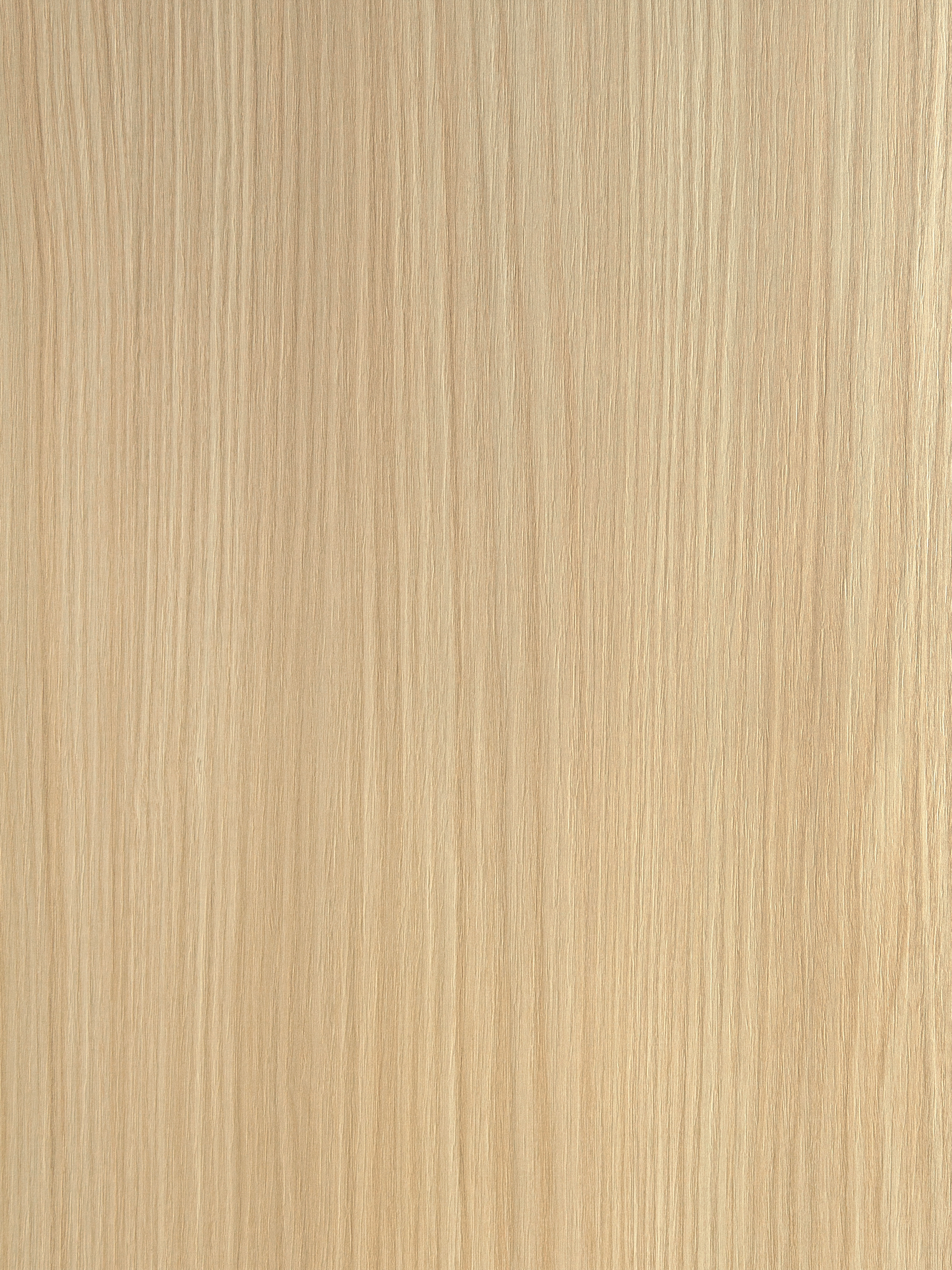 Ceppo LS93