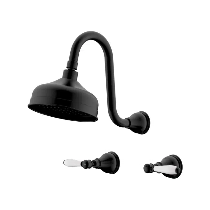 Milli Monument Edit Matte Black Porcelain Handles Gooseneck Shower Set 4204489