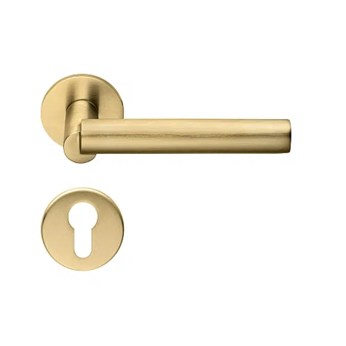 BR Door Handle Set