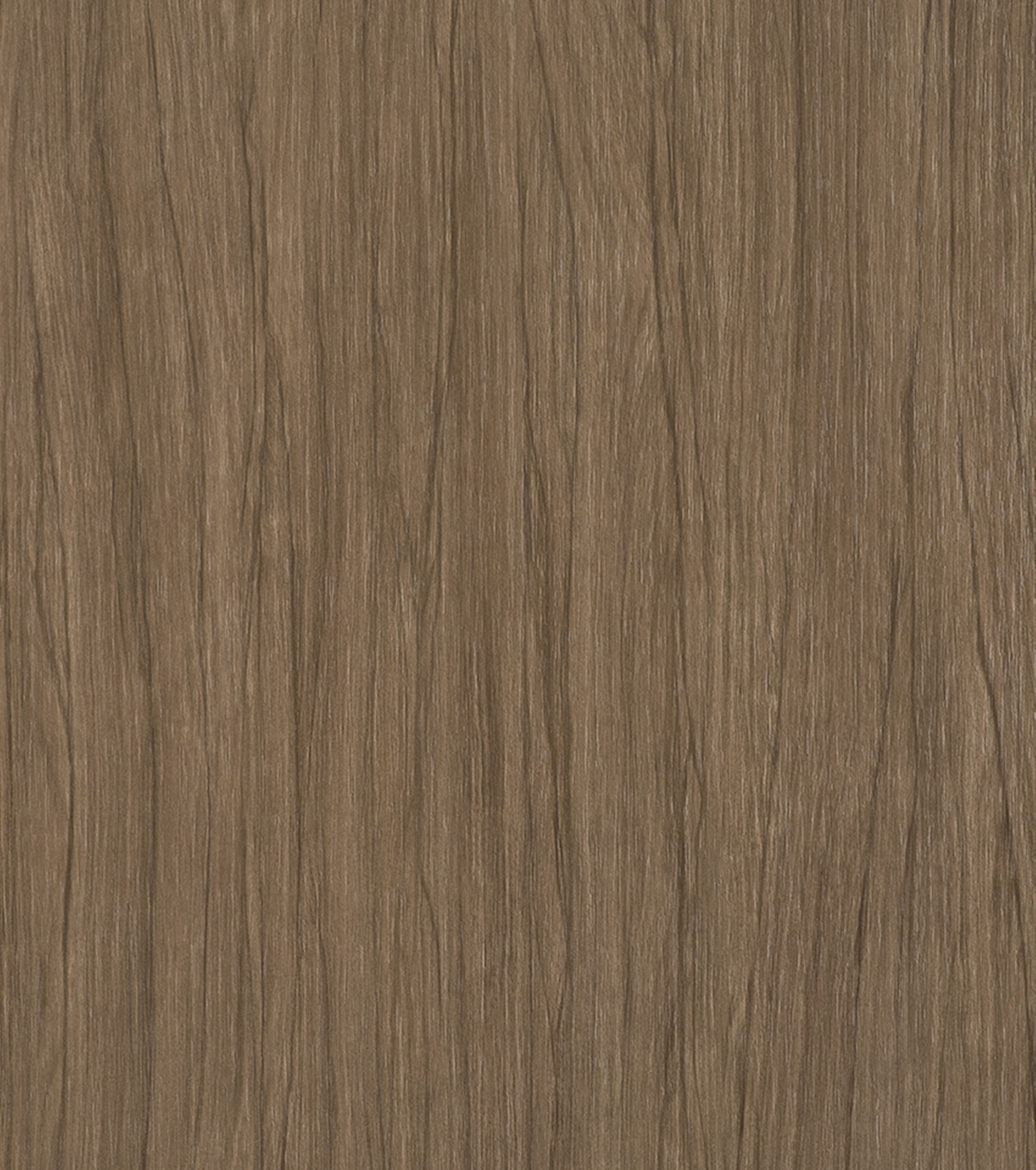 Ceppo LS83