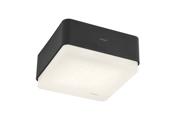 Surface Mounted Ceiling Light, Nimbus Cubic 36 Frame, 230 V - 833.66.951