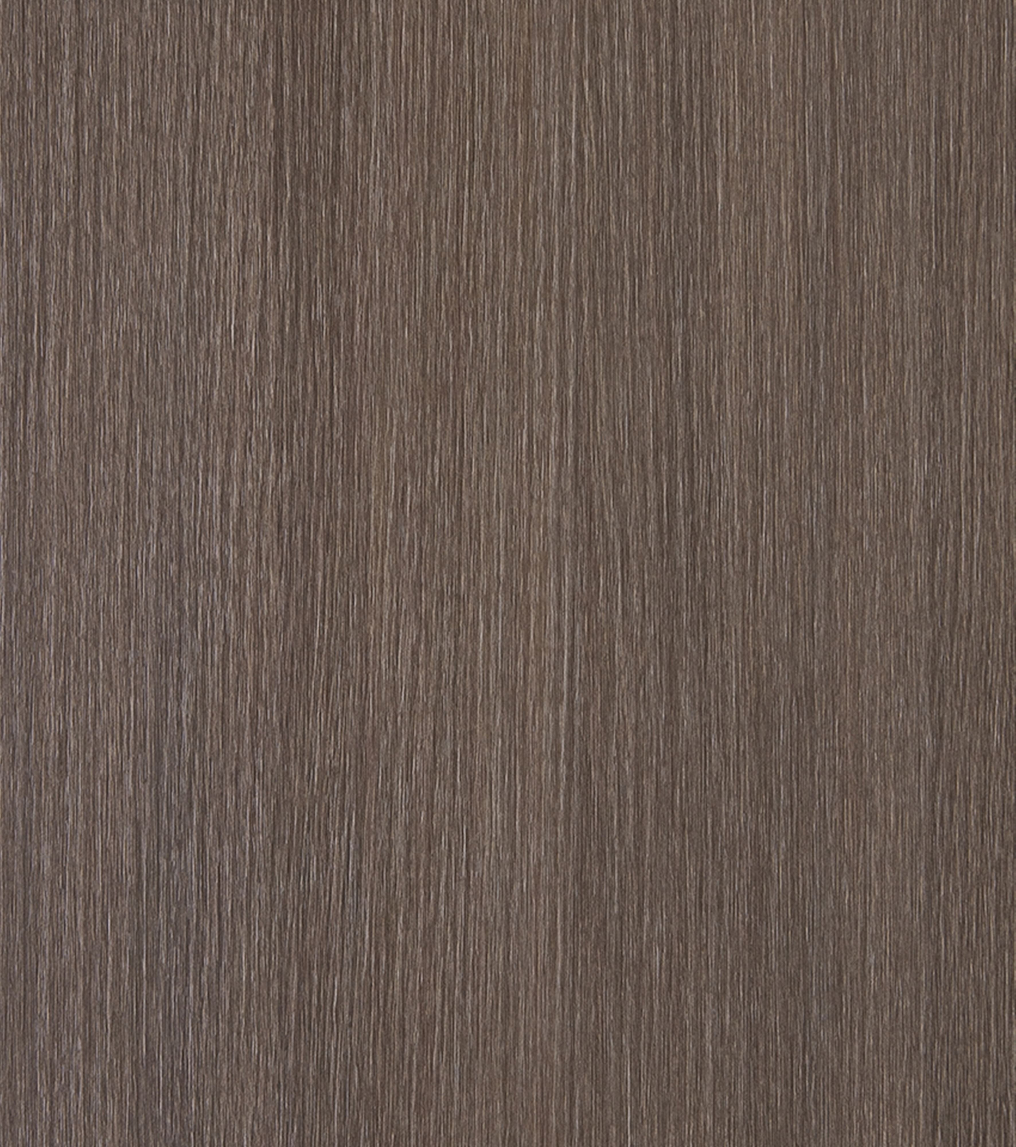 Ceppo LT11