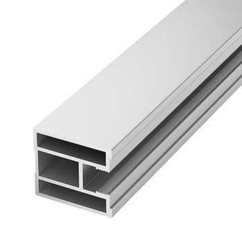Frame profile, 50, lateral - 403.82.755