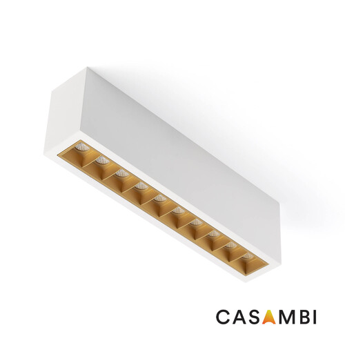 TROOP Surface 10x2W beyaz-altın 48° 3000K CRI90 CASAMBI