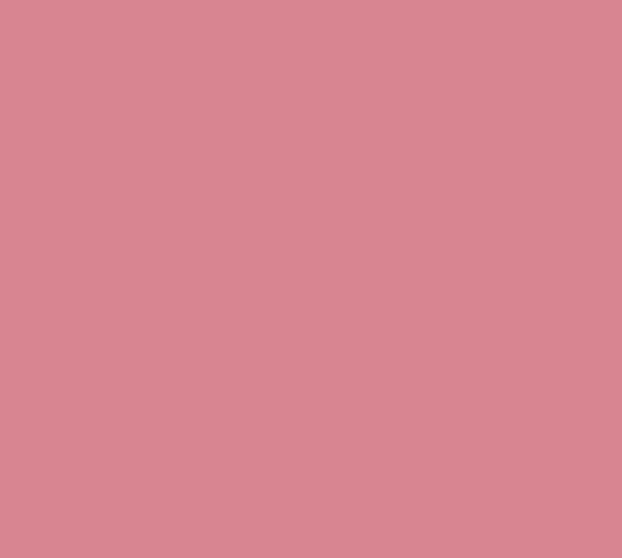 3449 Joyful Pink Interior Paint