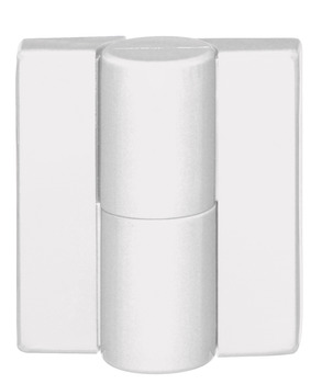 Dik Hinge, Hewi B 9505.50, 40 kg'a kadar düz iç kapılar için - 926.02.398