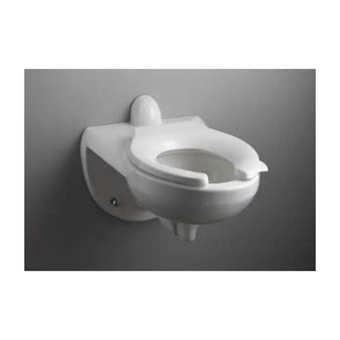 Kingston Bedpan Lug Rear Spud Wall-Mount Bowl