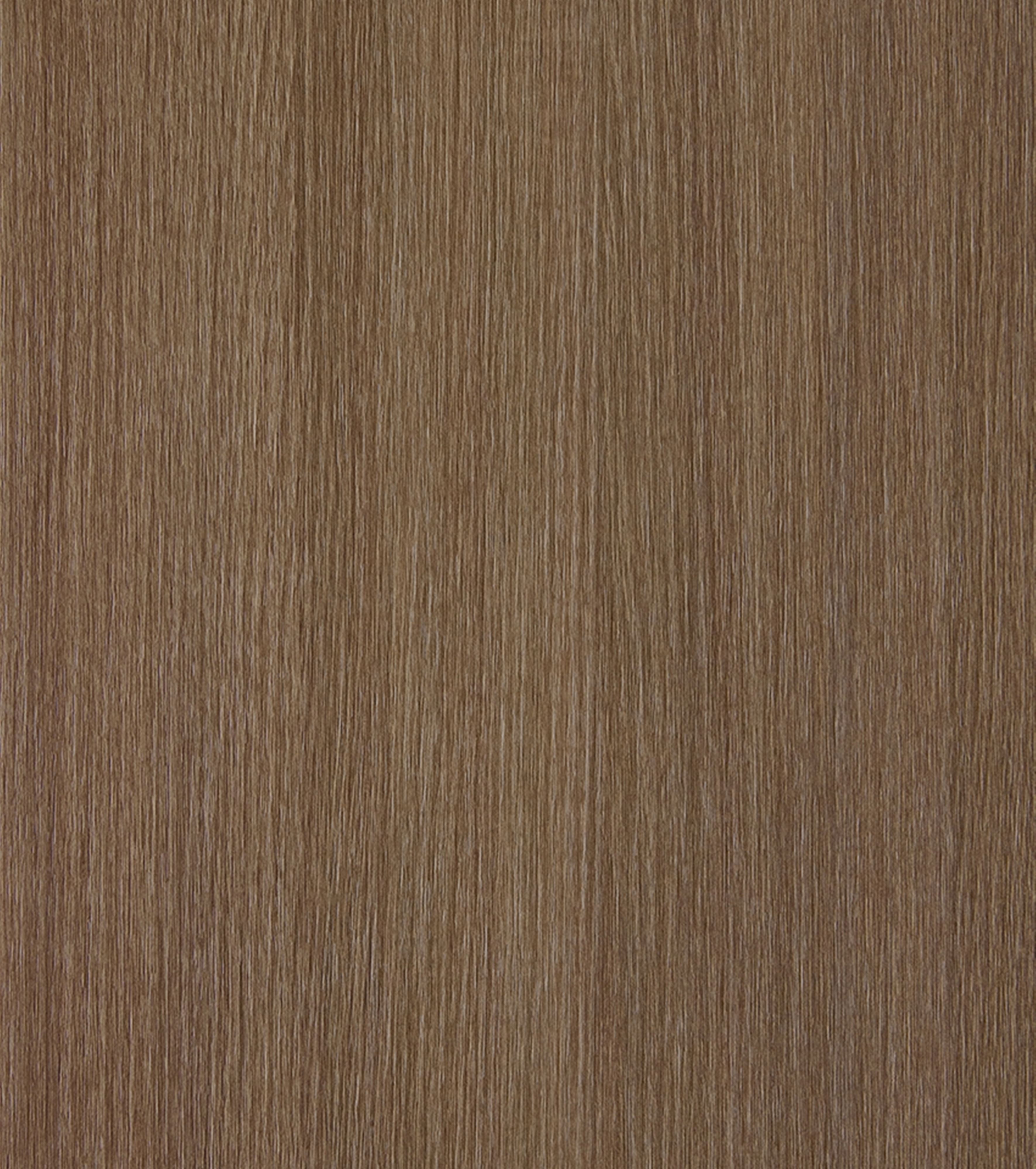 Ceppo LT10