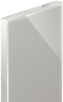 Glass front, Service+, thickness 19.6 mm, of which glass 3 mm - 564.02.004