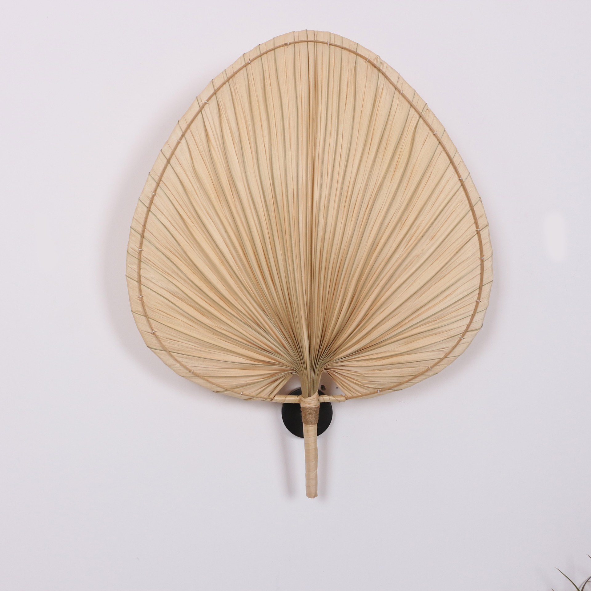 Doğal Palmiye Yaprak Aplik