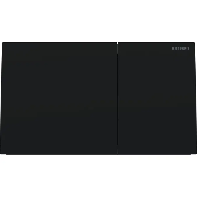 Sigma70 Matte Black Dual Flush Button 1836024