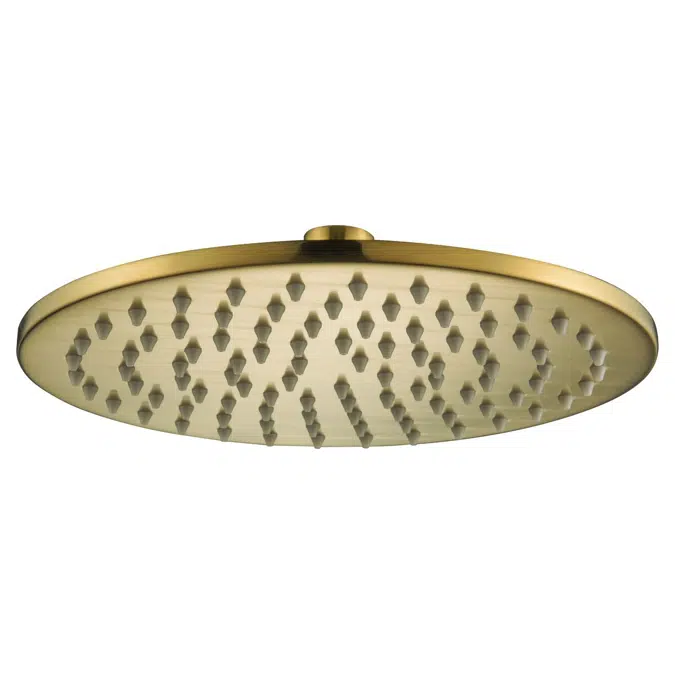 Drift Brushed Brass 200mm Overhead Shower 9512323