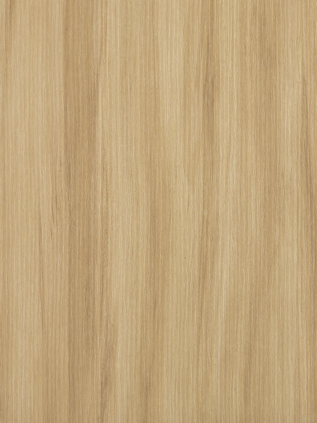 Ceppo LS64