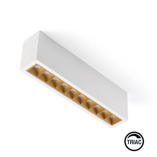 TROOP Surface 10x2W white-gold 48° 2700K CRI90 TRIAC