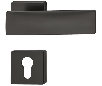 Kapı Kolu Seti, Çinko Alaşımı, Derece 3, Startec LDH 3225 - 900.92.503