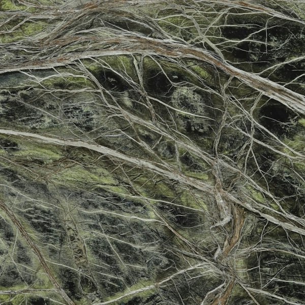 Scalea Rain Forest Green