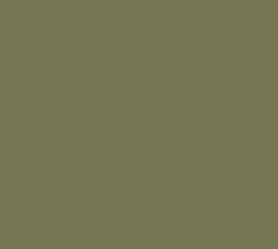8593 Succulent Green Interior Paint