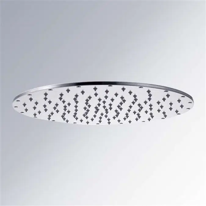 Chrome Shower Head