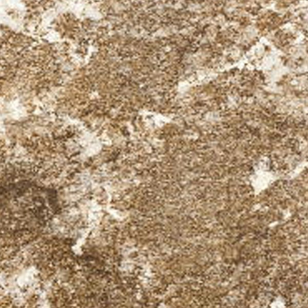 Sensa Brown Persa