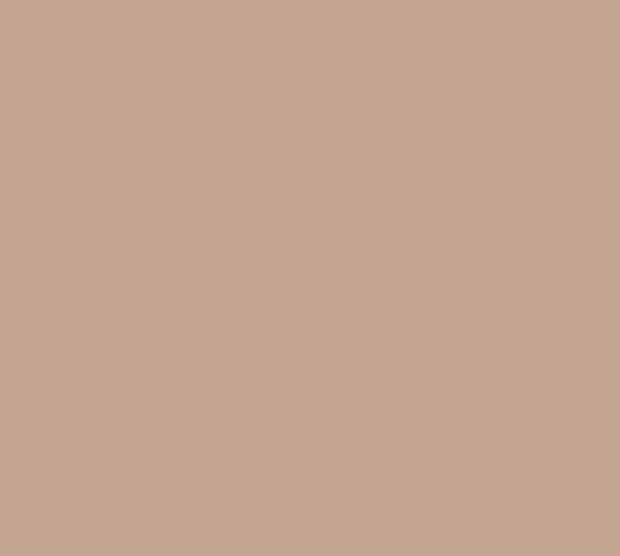 20047 Blushing Peach Interior Paint