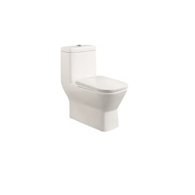 COMO Elegant One Piece Toilet