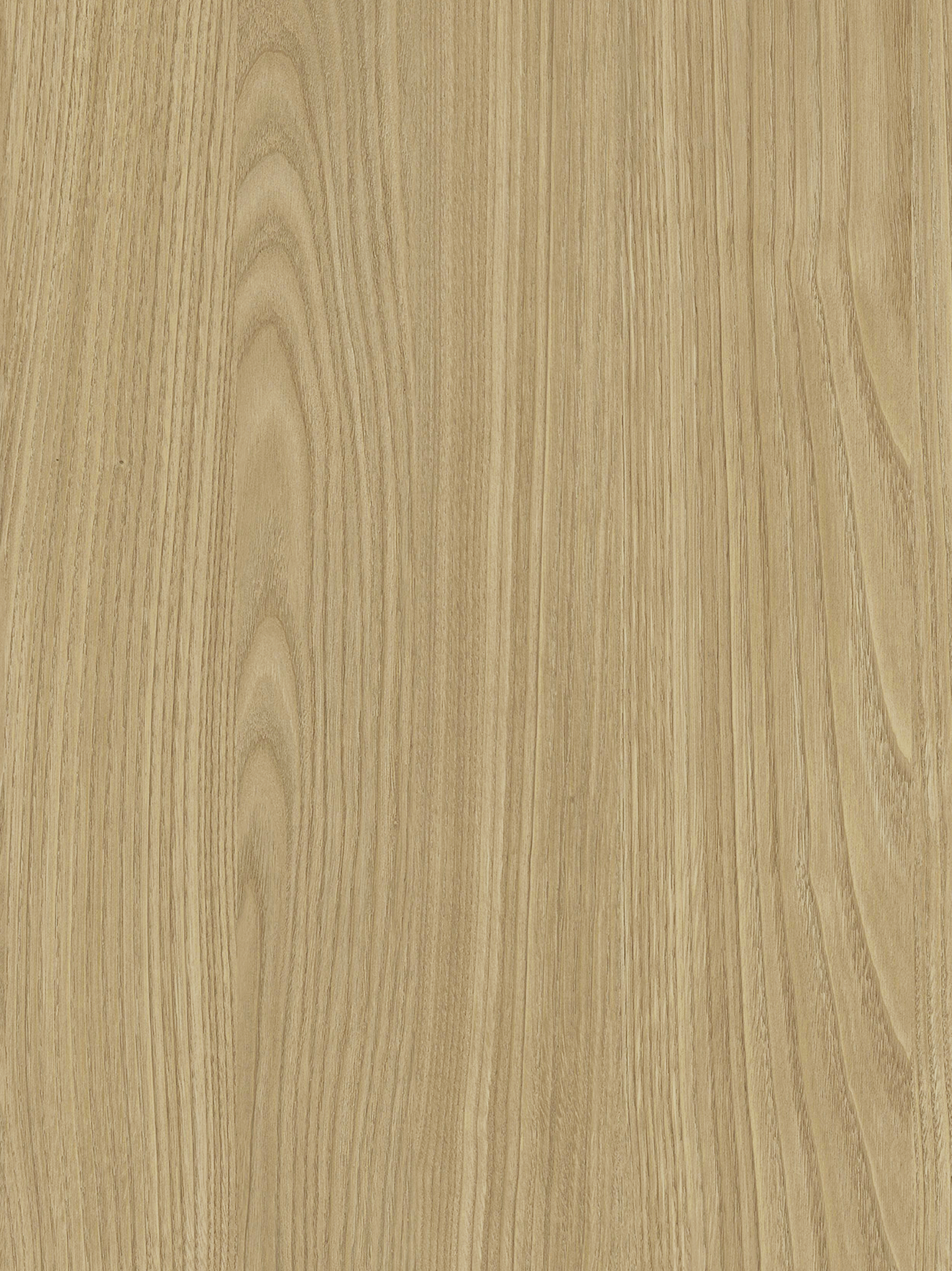 Quercia S173