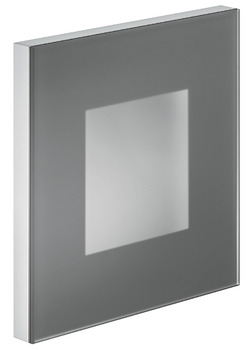 Aluminium Frame With Glass Panel, Service+ - 563.04.910