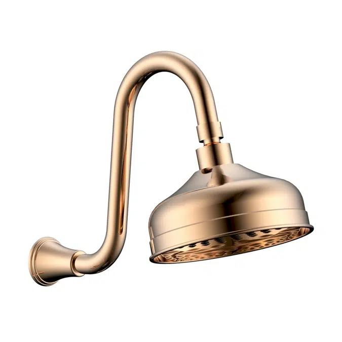 Canterbury Polished Brass Gold Shower Arm & Rose 9508410