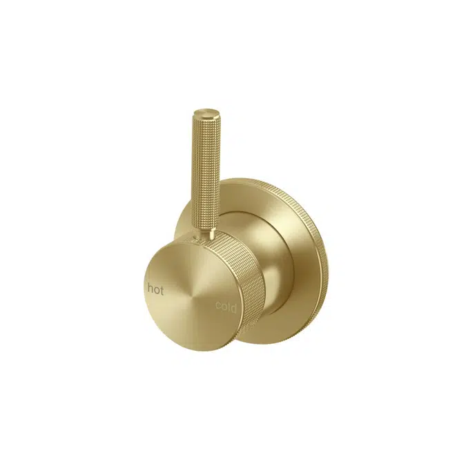 Milli Etch Brushed Gold Shower Mixer Kit 2269413
