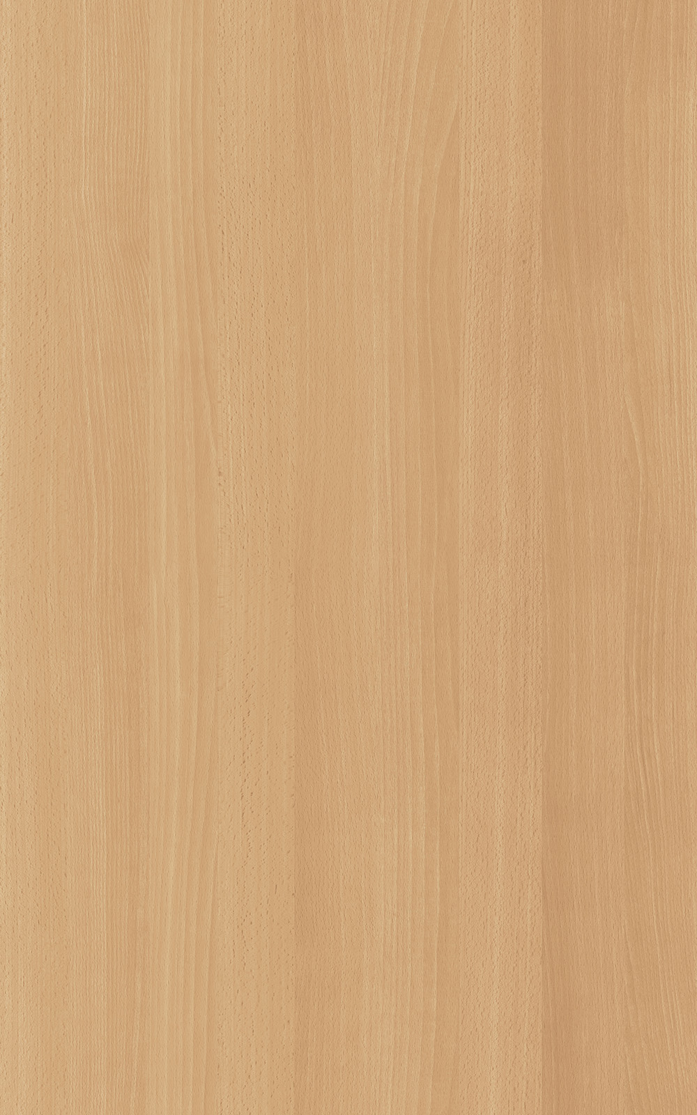 Sitka Beech - 3066 Laminat