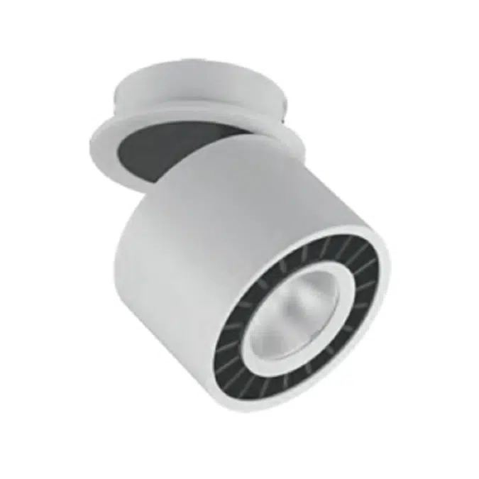 Ceiling Mounted Downlight-Cylinder