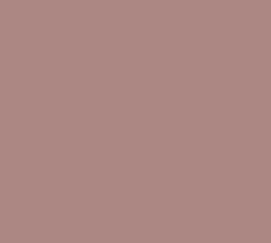 3404 Pink Clay Interior Paint