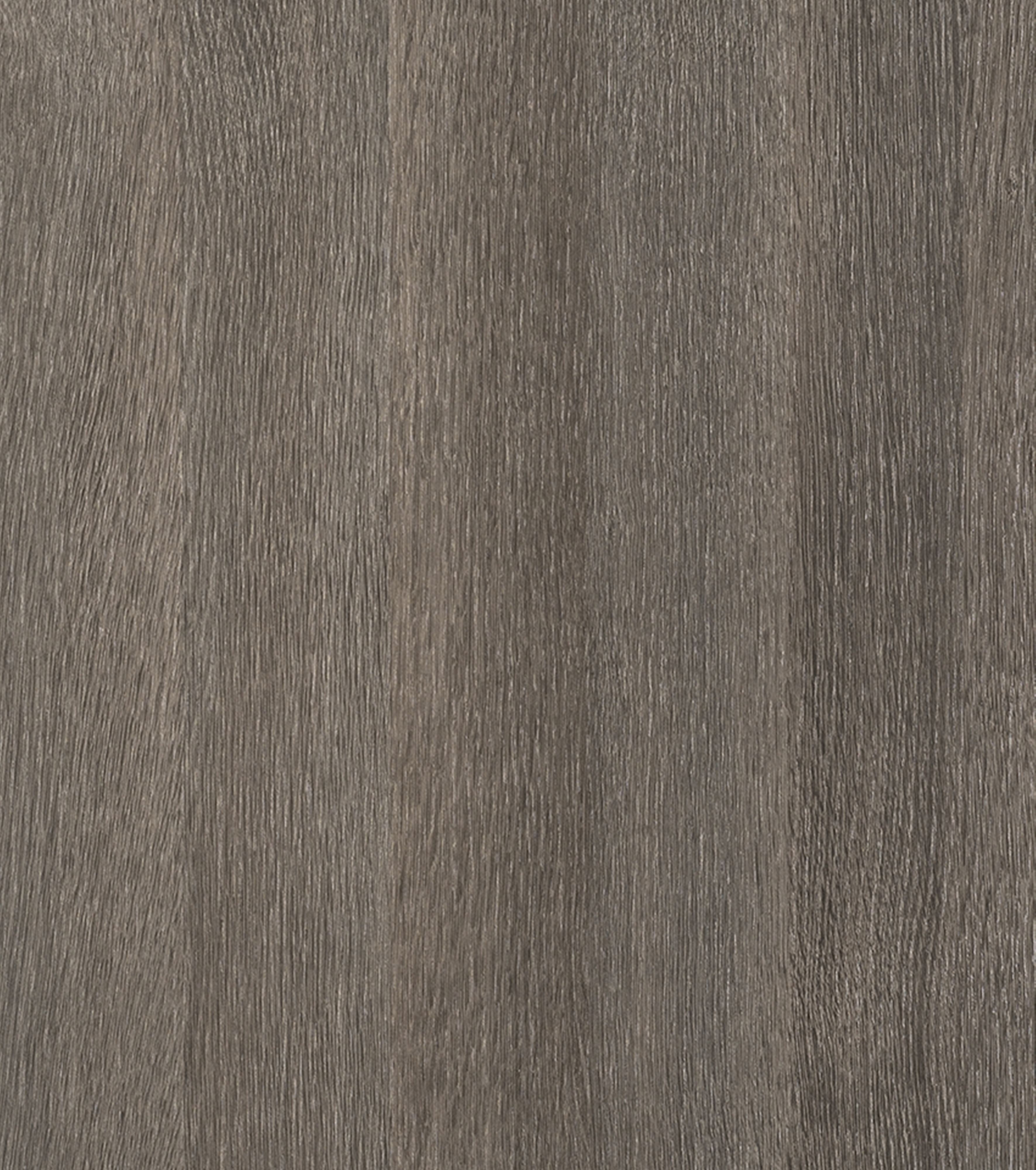 Poro Rovere LM69