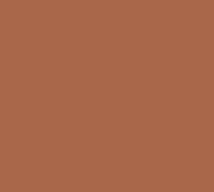 20241 Burnt Orange Interior Paint