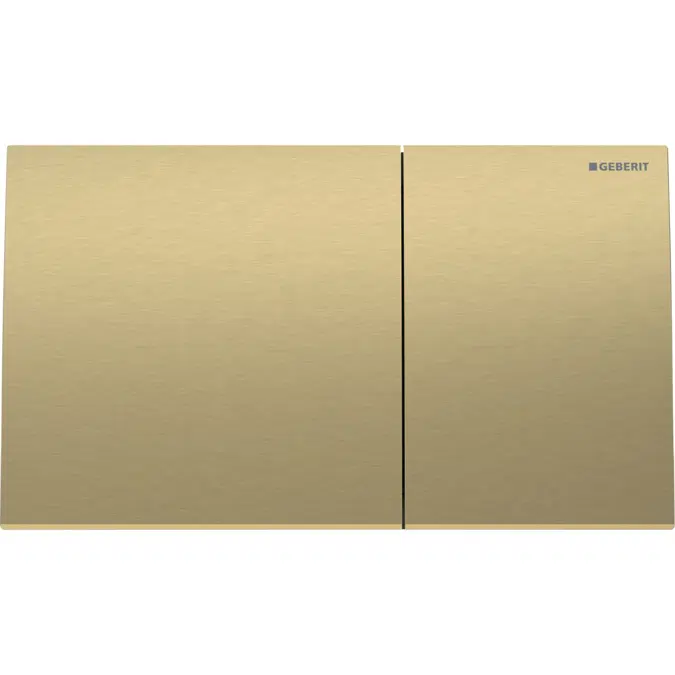 Sigma70 Brass Dual Flush Button 1836028